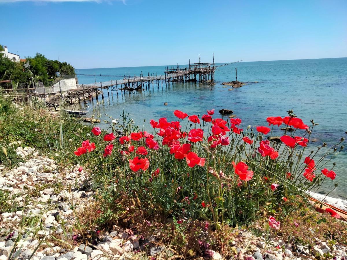 B&B Il Battocchio 兰恰诺 外观 照片